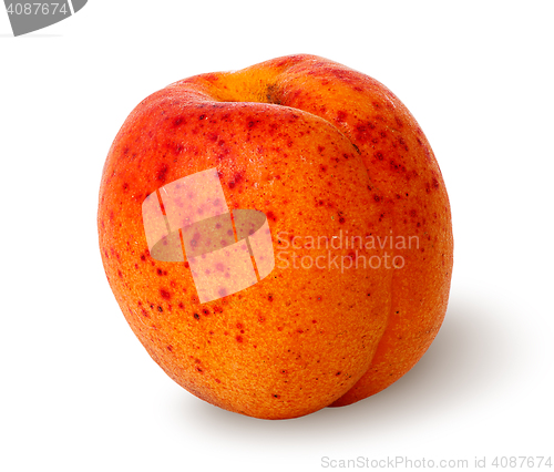 Image of Ripe juicy apricots rotated vertically