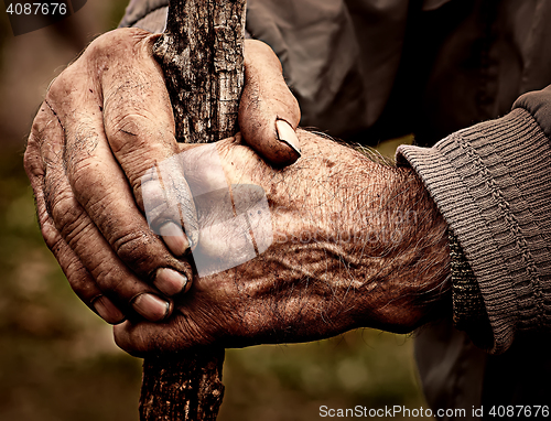 Image of Elderly man holding a staff in his hands