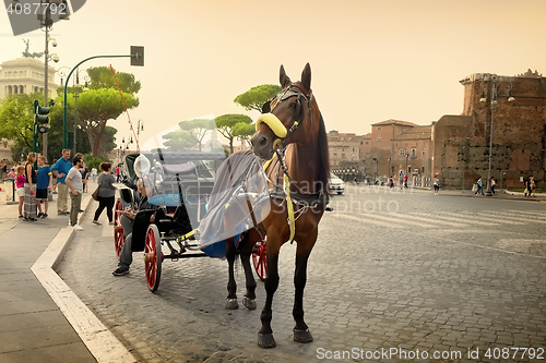 Image of Horse on roman street