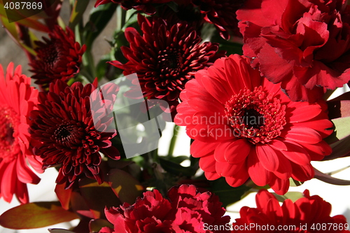 Image of Bouquet of red flowers