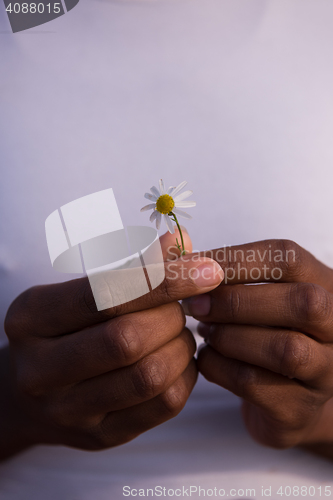 Image of portrait of African American girl with a flower in her hand