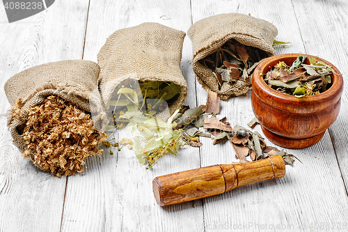 Image of Bags with herbs and plants