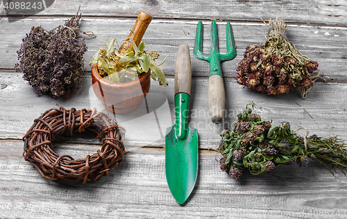 Image of Harvest of medicinal herbs and plants