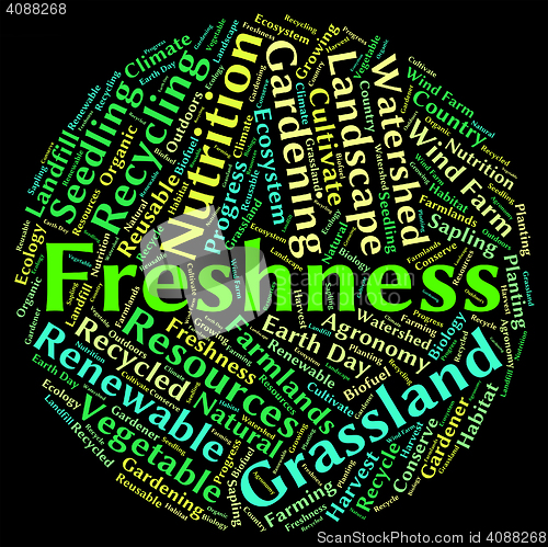 Image of Freshness Word Means Freshen Raw And New