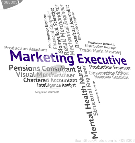Image of Marketing Executive Indicates Managing Director And Boss