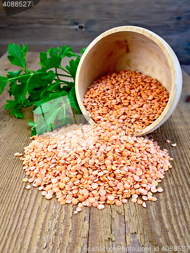 Image of Lentils red in wooden bowl with parsley on board