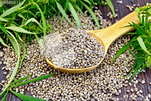 Image of Grain hemp in spoon with leaf on dark board