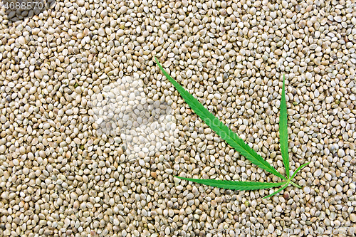 Image of Hemp seeds with green leaf