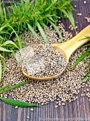 Image of Grain hemp in spoon with leaf on board