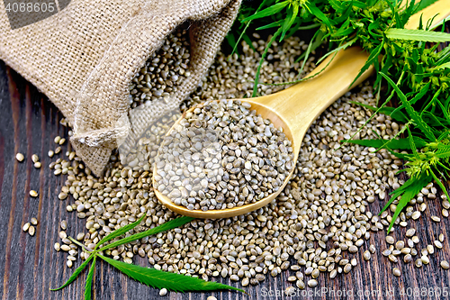 Image of Grain hemp in spoon with bag on board