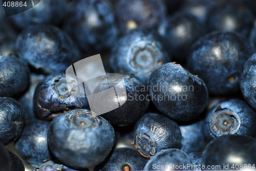 Image of Blueberries