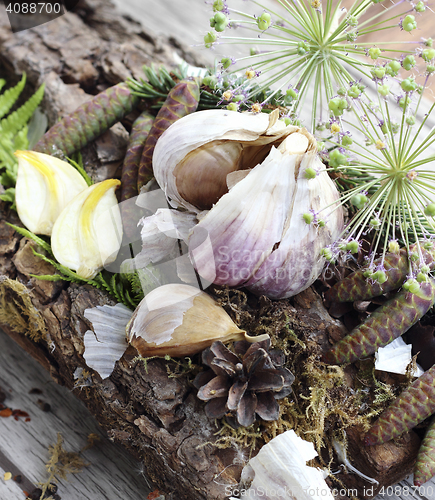 Image of Dried garlic cloves