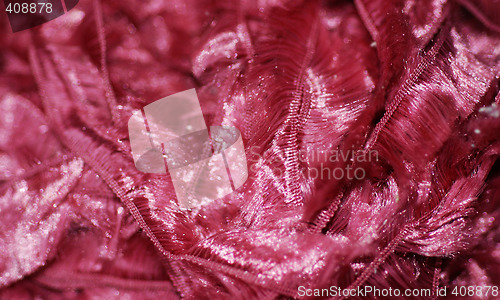 Image of Pink Fibres