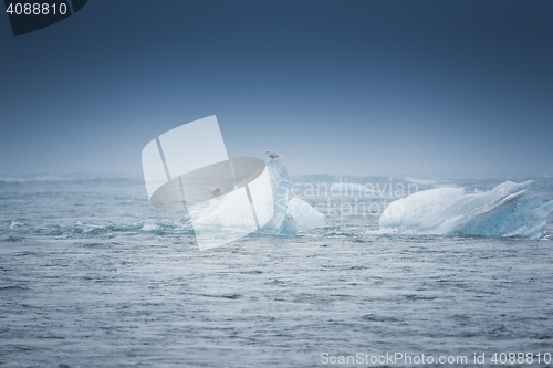 Image of Blue icebergs closeup