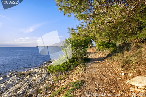 Image of Coastline at Premantura