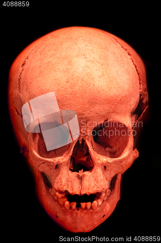 Image of human skull in the dark