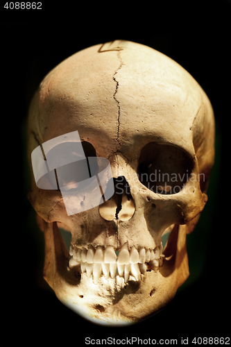 Image of human skull in the dark