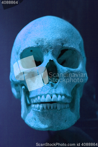 Image of human skull in the dark