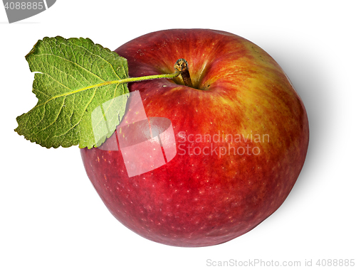 Image of Red ripe apple with green leaf top view