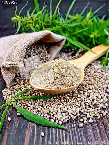 Image of Flour hemp in spoon with leaf on board