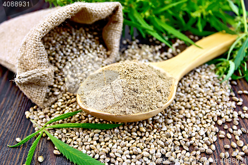 Image of Flour hemp in spoon with bag and leaf on board