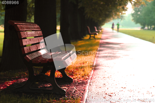 Image of autumn in the park