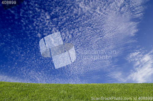 Image of grass and blue sky