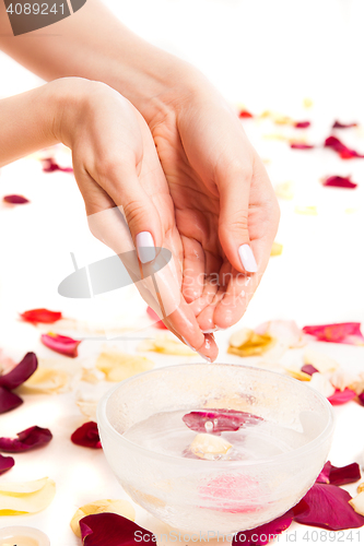 Image of Female tender hands making bowl