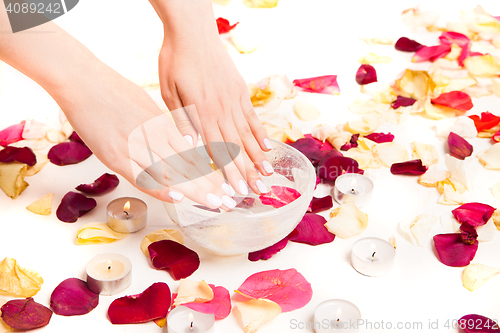 Image of Female gentle hands on bowl with water