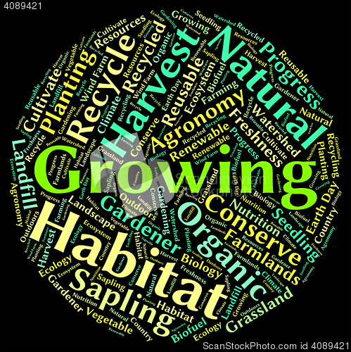 Image of Growing Word Means Growth Sowing And Sow