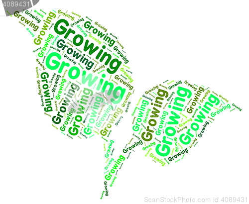 Image of Growing Word Shows Growth Grows And Cultivation