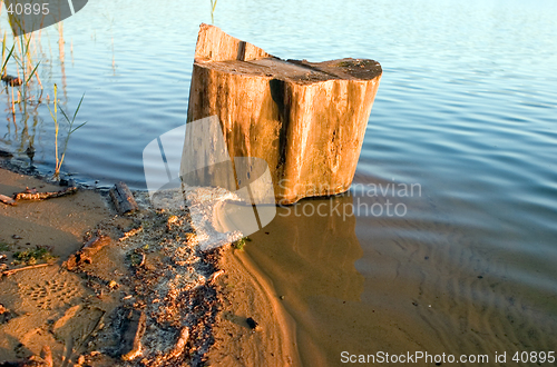 Image of Stub on lake