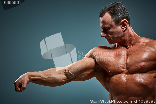 Image of torso of attractive male body builder on gray background.