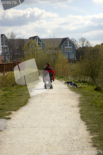 Image of Dog walking