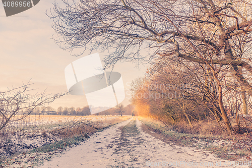 Image of Nature path at wintertime in the sunrise