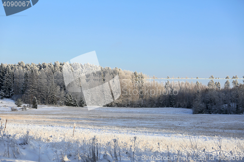 Image of Blue and White Winters Day