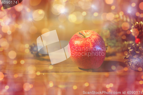 Image of red apple and christmas tree branch 