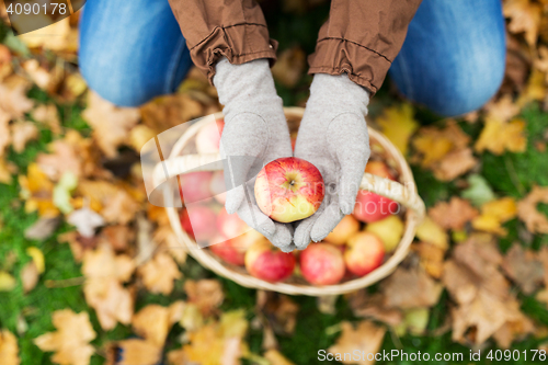 Image of woman with basket of apples at autumn garden