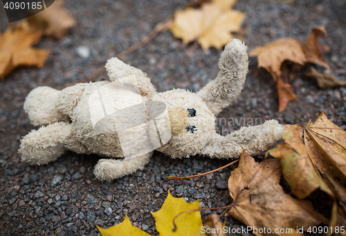 Image of toy rabbit and autumn leaves on road or ground