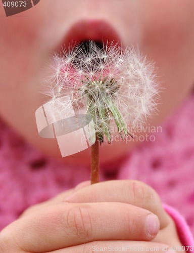 Image of Make a wish