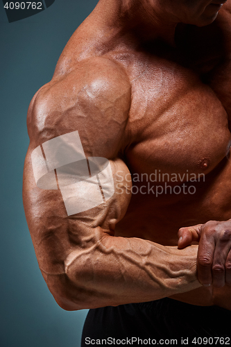 Image of torso of attractive male body builder on gray background.