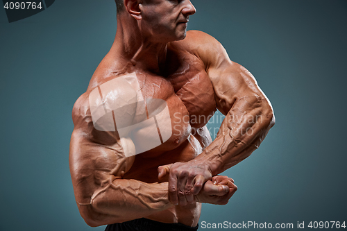 Image of torso of attractive male body builder on gray background.