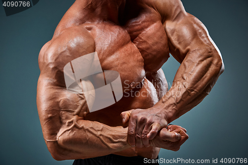 Image of torso of attractive male body builder on gray background.