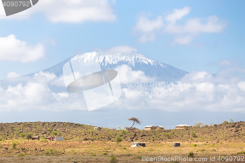 Image of Kilimanjaro overlooking african savannah.