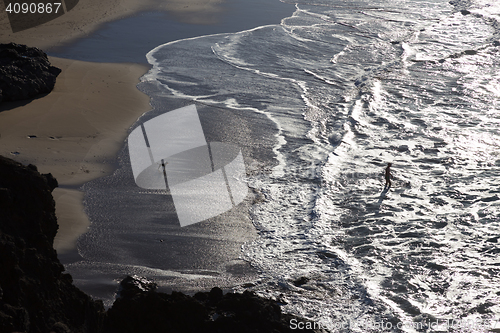 Image of Silhouette of man and dog having fun on seaside.