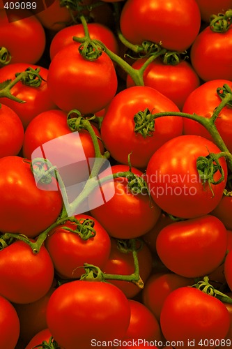 Image of Tomatoes