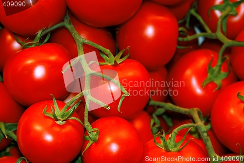 Image of Tomatoes