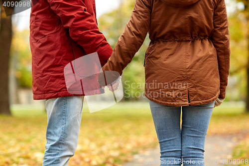 Image of close up of couple holding hands in autumn park