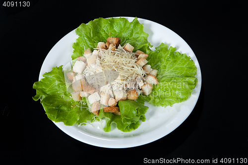Image of Russian Cookery