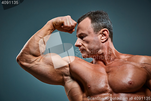 Image of torso of attractive male body builder on gray background.